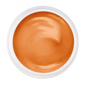 Gel Constructor